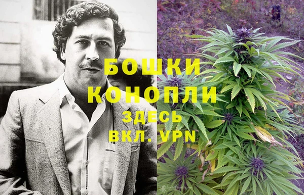 Альфа ПВП Аркадак