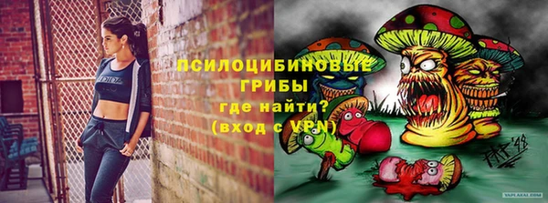 Альфа ПВП Аркадак
