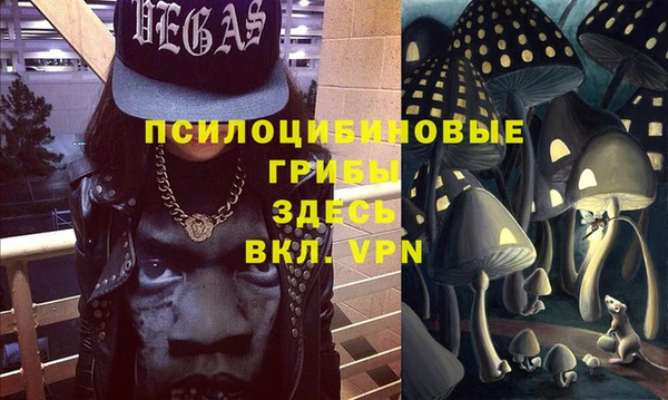 Альфа ПВП Аркадак