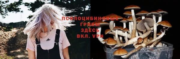 мяу мяу мука Армянск
